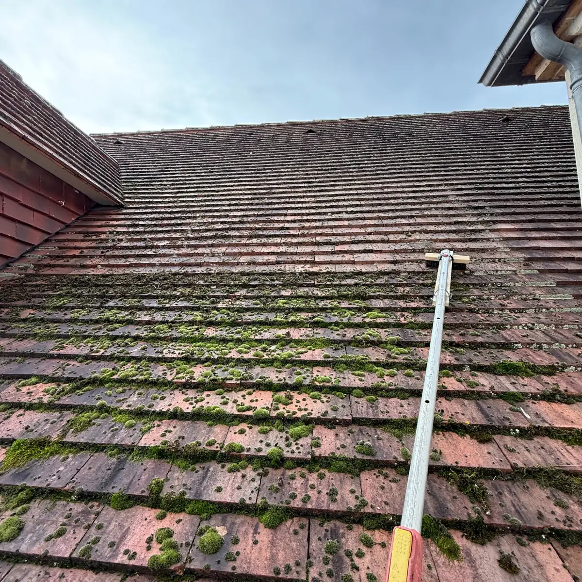 charpente Gers et haute Pyrénées (3)